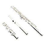 Trevor James Chanson Flute, Offset G