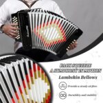 31-Key 12-Bass Accordion for Adults, Beginners, Players, Teachers, Stainless Steel, 8-String, Electric, Black (Accordion Black) - Image 5